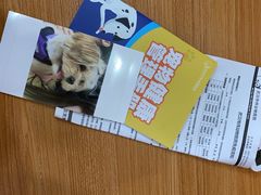 -伟伟宠物医院·CT影像中心·瑞派犬猫综合性门诊(汉口总院)