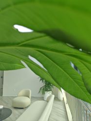 -HEYAN荷妍专业脱毛连锁机构