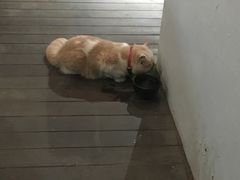 -大洋晶典(东街店)