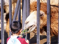 -泉州海丝野生动物世界