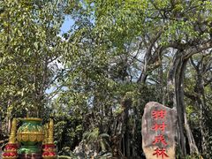 -独树成林