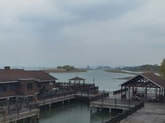 -新木器时代餐厅(太湖新天地店)