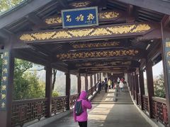 -长广溪湿地公园