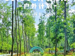 -合肥滨湖国家森林公园