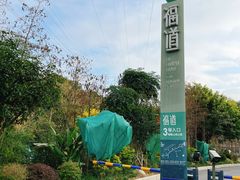 -福道
