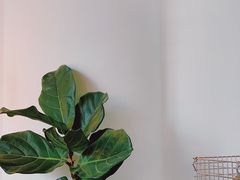 大堂-常识咖啡common sense(春熙路店)