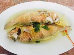 -老三鱼仔店