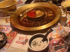 -哥老官重庆美蛙鱼头(宝山龙湖店)