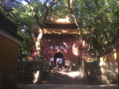 -普陀山风景名胜区-法雨禅寺