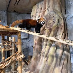 -Zoolung Zoolung动物主题公园(海信广场店)