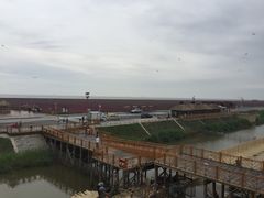 -红海滩国家风景廊道