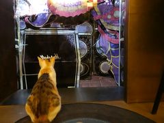 -黑胶星球(华发中城商都店)