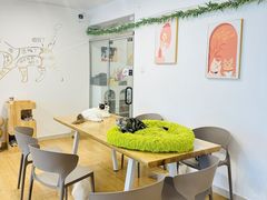 -有喵·猫咖·狗咖·40+猫狗有小奶狗(岗厦店)