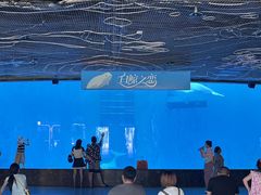 -海合安成都极地海洋公园