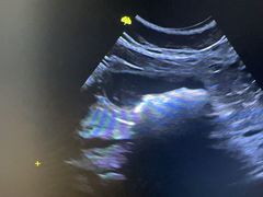 -拜鲁耶动物诊疗中心·宠家动物医院