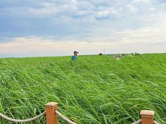 -黑龙江扎龙生态旅游区