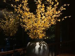 -清远熹乐谷温泉度假酒店