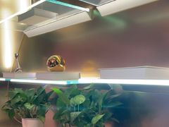 -曼格纳·曼芯馆(杨浦店)
