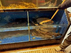 -大自然(鲁家村店)