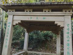 -树山生态村