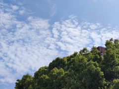 -复旦大学光华楼