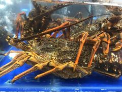 -船家渔(徐州北路店)