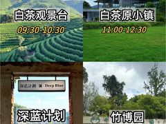 -阿露佳·舌尖上的安吉菜