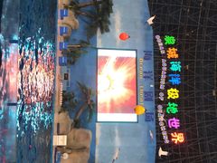 -泉城欧乐堡海洋极地世界