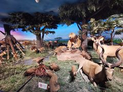 -国家自然博物馆