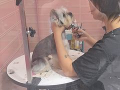 -FAELING PETS美天灵宠物(合生汇店)