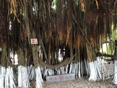 -胡里山炮台