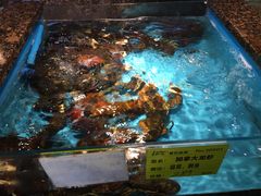-拉完海鲜大排档(温岭店)
