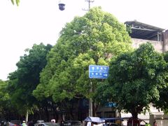 -平乐古镇