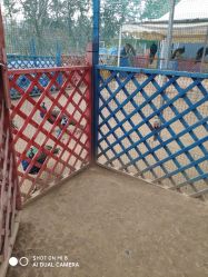 -萌宠亲子动物乐园(槐房万达店)