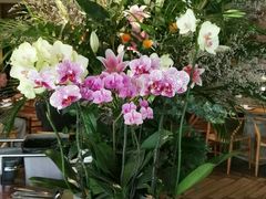 -春暖花开(西溪店)