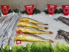 -宝燕壹号(长寿店)