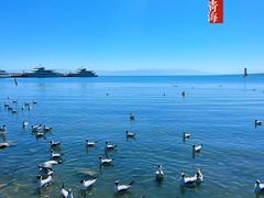 -青海湖二郎剑景区