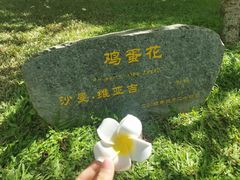 -中国科学院西双版纳热带植物园