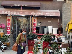 -中环花鸟鱼虫市场