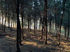 -北京十三陵国家森林公园蟒山景区