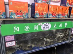 -阳澄湖大闸蟹·琼灵阁牌品牌连锁(吴中总店)