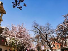 -天津五大道文化旅游区