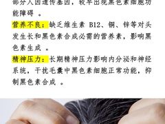 -中国农业大学(西校区)