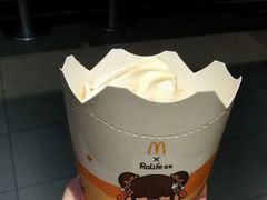 -麦当劳(红旗路店)