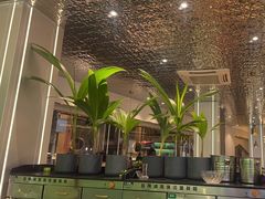 -探窝·竹笙椰子鸡(杨箕店)