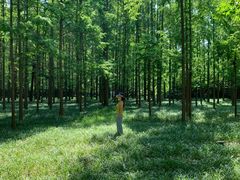 -河南省黄河迎宾馆