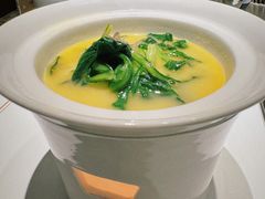 -觀芷隐轩