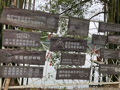 -老木棉·匠园