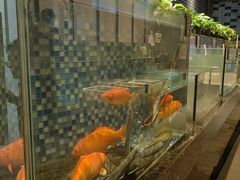 -泓历皇朝酒店(东亭店)