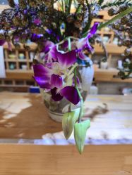 -今日陶艺(富力广场店)